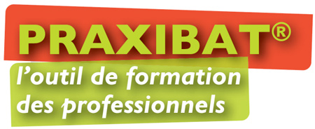 logo praxibat